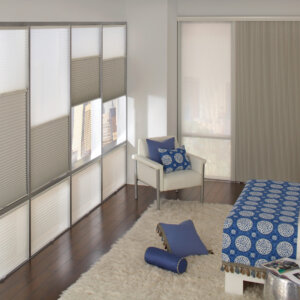 Dual Honeycomb Shades and Vertical scaled